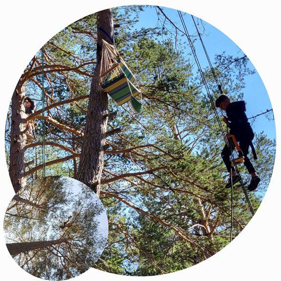 Escalade et grimpe dans les arbres � Brian�on