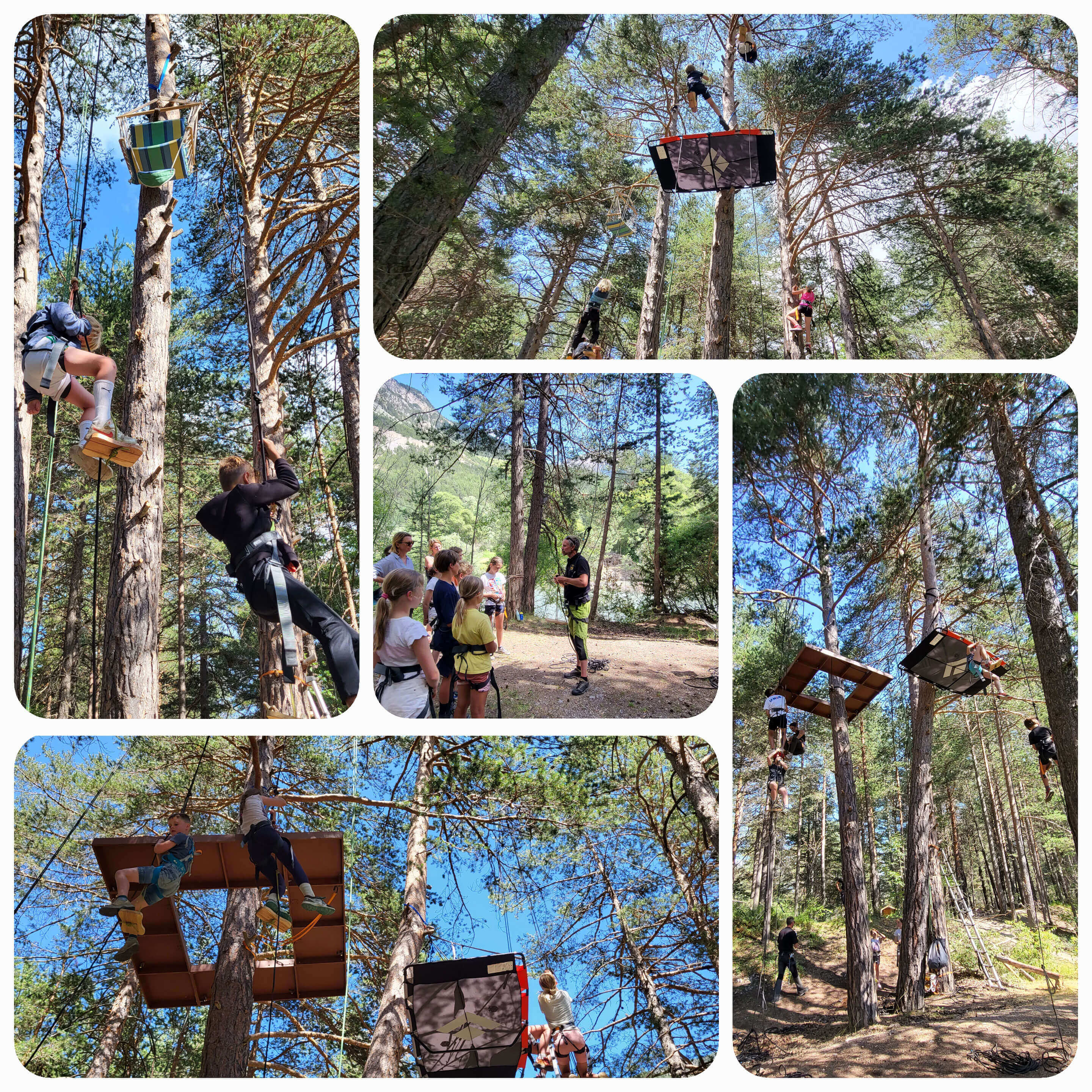 Grimpe d'arbres et escalade branch�e