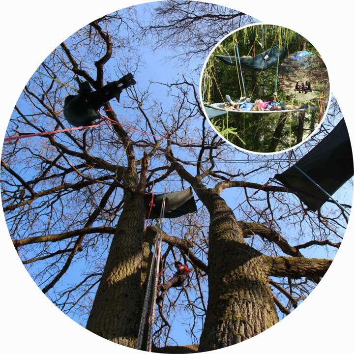 Grimpe d'arbres et escalade branch�e